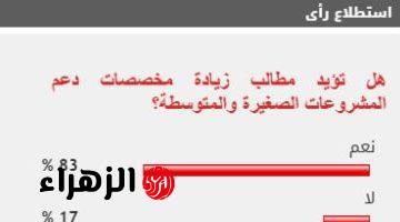 83% من القراء يؤيدون زيادة مخصصات دعم المشروعات الصغيرة والمتوسطة