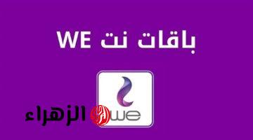 هدية المصرية للاتصالات لعملائها.. أرخص باقة إنترنت في مصر من شركة WE بسعة 140 جيجا بايت شهريًا