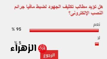 95% من القراء يطالبون بتكثيف حملات ضبط مافيا جرائم النصب الإلكترونى