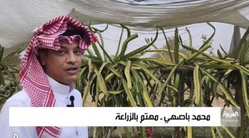 “فلاح سعودي يكشف السر” … مزارع سعودي ينجح بزراعة فاكهة نادرة بالسعودية كنز تساوي ملايين الدولارات !!.. لن تصدق شكلها..؟؟