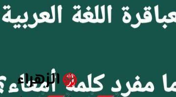 «سقطت آلاف الطلاب».. ما هو مفرد كلمة «أمعاء» في اللغة العربية التي حيرت المعلمين؟ أتحداك تعرف تحلها لوحدك!!