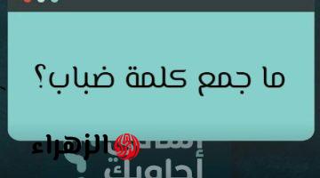“سؤال يصدم الجميع و99 % من الطلاب فشلوا فى الاجابة”.. جمع كلمة ″ضباب” في اللغة العربية!! الاجابة تصدم الجميع!!