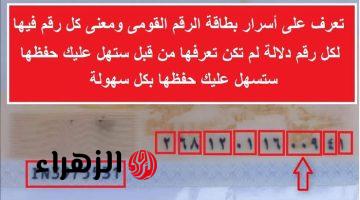 «أخطر سر في مصر ».. هل تعلم ما هو مدلول ال 14 رقم الموجودين في بطاقة الرقم القومي..؟!! موظف في السجل المدني قالي عليها !!