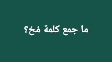 “زلزال تعليمي يهز مصر”.. أستاذ جامعي يسأل عن جمع كلمة “مخ” في اللغة العربية الفقصحى .. والطلاب ينهارون من الصدمة!! “