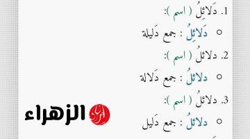 “90% من الطلاب معرفوش يحلوها” .. ما هو جمع كلمة “دليل” في اللغة العربية؟! .. سؤال أسقط دفعات كاملة وأثار جدلا واسعا بين المعلمين!!