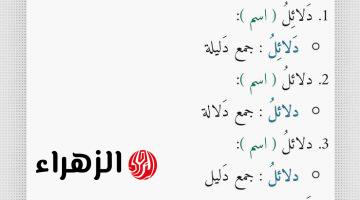 “محدش عارف يحلها غير العباقرة” .. ما هو جمع كلمة “دليل” في اللغة العربية؟! .. سؤال أسقط دفعات كاملة وأثار جدلا واسعا بين المعلمين!!