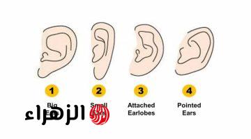“شخصيتك بقت كتاب مفتوح” .. علماء النفس يكشفون سر خطير عن علاقة شكل الأذن بصفات شخصيتك .. جرب بنفسك وشوف المفاجأة