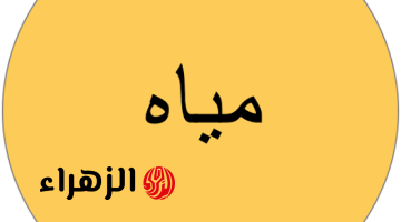 “هتتفاجأ من الإجابة” … هل تعرف ما هو جمع كلمة “مياه” في قاموس اللغة العربية؟ ستصدم لما تعرف الحقيقة!