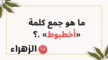 ” 99% من الطلاب معرفوش يحلوها ” .. هل تعلم ماهو جمع كلمة أخطبوط في معجم اللغة العربية التي حيرت الطلاب والمعلمين .. إجابة محدش يتوقعها !!!