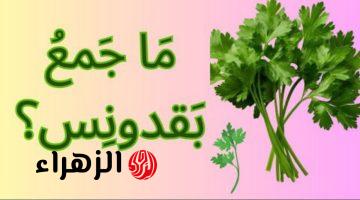 ” سؤال محدش عرف يحله خالص”  .. هل تعلم ما هو جمع كلمة “بقدونس” في اللغة العربية التي حيرت ملايين الطلاب والمعلمين ؟! .. خبير لغوي يوضح الإجابة الصحيحة !!