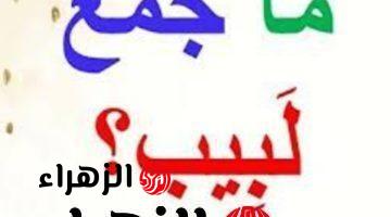 “تبقى عبقري لو عرفت تحلها لوحدك” .. هل تعرف ماهو جمع كلمة “لبيب” فر معجم اللغة العربية التي عجز عن حلها ملايين الطلاب .. إجابة الكل بيدور عليها !!!!