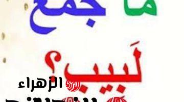 “سؤال جنن الطلاب” .. هل تعلم ما هو جمع كلمة “لبيب” في قاموس اللغة العربية التي عجز عن حلها طلاب الثانوية العامة؟! .. إجابة الكل بيدور عليها !!!