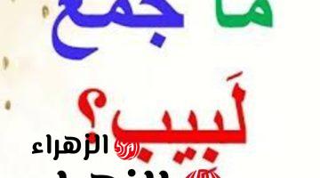 ” تبقى عبقري لو عرفت تحلها لوحدك ” .. هل تعلم ما هو جمع كلمة “لبيب” في معجم اللغة العربية التي حيرت الطلاب والمعلمين .. خبير لغوي يوضح الإجابة الصحيحة !!!