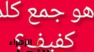 “دفعة كاملة سقطت بسببها” .. هل تعلم ماهو جمع كلمة “كفيف” في اللغة العربية التي حيرت الطلاب والمدرسين .. دكتور جامعي يوضح الإجابة الصحيحة!!!