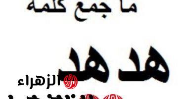 “للعباقره فقط” .. هل تعلم ماهو جمع كلمة “هدهد ” في اللغة العربية التي سقط بسببها آلاف الطلاب .. إجابة عجز عن حلها دكاترة الجامعة !!!