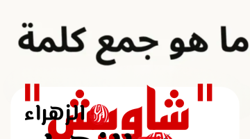 “أتحداك تعرف تحلها لوحدك” .. ماهو جمع كلمة “شاويش” في اللغة العربية؟ السؤال الذي أبكي ملايين الطلاب .. إجابة ماتخطرش على بال حد