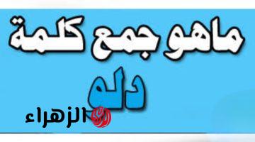 ” 1% بس اللي عرفوا يحلوها ” .. ماهو جمع كلمة “دلو” في معجم اللغة العربية التي حيرت آلاف الطلاب .. مستحيل تتوقع الإجابة !!