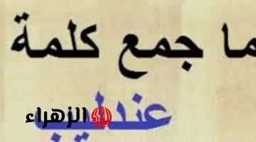 ” سؤال أبكى ملايين الطلاب حتى النحيب ” .. هل تعرف ماهو جمع كلمة عندليب في اللغة العربية التي رسب بسببها آلاف الطلاب .. إجابة الكل بيدور عليها !!!