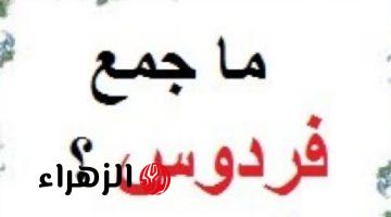 ” سؤال حير عباقرة اللغة ” .. هل تعلم ماهو جمع كلمة فردوس في معجم اللغة العربية التي أبكت ملايين الطلاب .. اعرف الإجابة الصحيحة قبل أي حد !!!