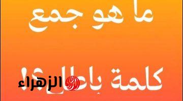 “5% بس اللي عرفوا يحلوها” .. ماهو جمع كلمة ” باطل ” في اللغة العربية التي عجز عن حلها خبراء اللغة نفسهم .. أبكت ملايين الطلاب !!!