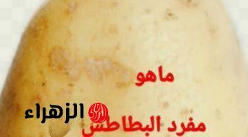 ” سؤال حير الطلاب والمعلمين ” .. خبير لغوي يوضح ماهو مفرد كلمة بطاطس في المعجم اللغوي .. إجابة ماتخطرش على بال حد !!! 