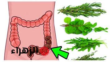 «على الريق مفعول السحر»… مشروب فعال لتنظيف القولون والتخلص من البراز المتحجر سوف تخف بطنك في 3 أيام فقط | «وداعًا لآلام القولون»