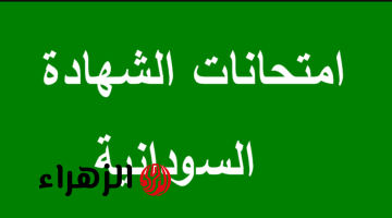 نتائج امتحان الشهادة السودانية 2025.. الإعلان عنها في هذا التوقيت خلال موقع وزارة التربية والتعليم السوداني