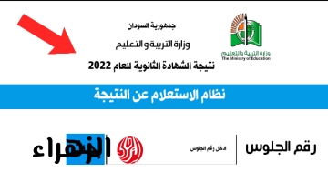 معـرفـة الدرجـات.. نتيجة الشهادة السودانية بالرقم القومي عبر موقع وزارة التربية والتعليم السودانية www.mohe.gov.s حال الاعلان