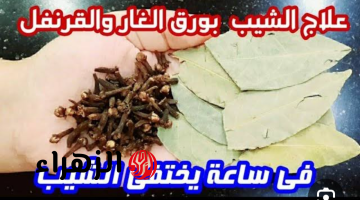 وصفة القرنفل وورق الغار السحرية!!.. الحل الطبيعي الفعال لإزالة الشيب نهائيا واستعادة لون الشعر بدون صبغات كيميائية!!