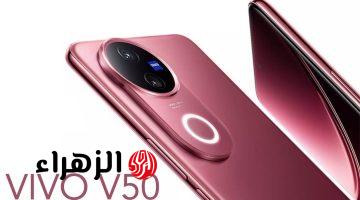 الموبايل اللي الكل مستنيه.. سعر ومواصفات Vivo V50 اعرف المميزات والعيوب!