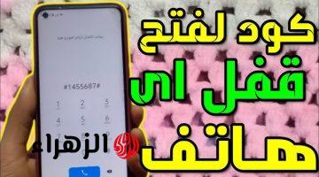 «بلاش تشيل همه» .. طريقة عبقرية لفتح الهاتف عند نسيان كلمة المرور بدون سوفت وير .. خبير تكنولوجي قالي عليها