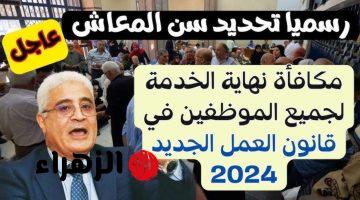 زغاريط في كل مكان “… رسميا تحديد سن التقاعد الرسمي للمعاش ومكافأة نهاية الخدمة وفقا لقانون العمل الجديد 2024.. مش هينامو الليلة!!