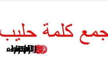 الطلاب قعدوا فيه ساعه.. ما هي جمع كلمة حليب التي أربكت طلاب الثانوية في امتحان اللغة العربية.. مش هتصدق الجمع الصح ايه!!