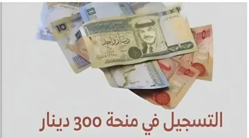 رابـط التسجيل في منحة 300 دينار تونس 2025 عبر social.gov.tn وأهم الشروط المطلوبة