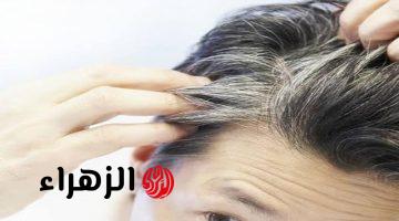 قل وداعاً للشعر الابيض المزعج !!.. خلطات طبيعية لعلاج شيب الشعر نهائياً .. هاتفضل في سن العشرين!!