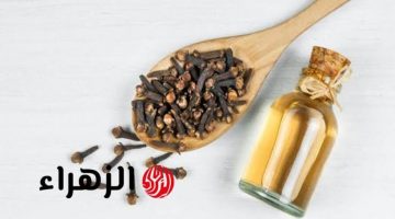 صالون تجميل ببلاش في بيتك!! .. استخدمي وصفة زيت الزيتون مع القرنفل لبشرتك ولشعرك وشاهدي النتيجة المذهلة!!