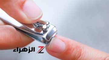 صغيرة بس فوائدها جبارة!! .. 8 استخدامات لقصافة الأظافر ستصدمك هاتساعدك في البيت والمطبخ .. هاتبقى في جيبك على طول!!