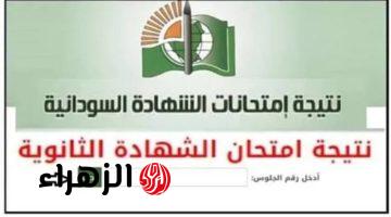 استخـرجها بسهـولة :: رابط نتيجة الشهادة السودانية 2025 بالاسم ورقم الجلوس فور ظهورها عبر mohe.gov.sd