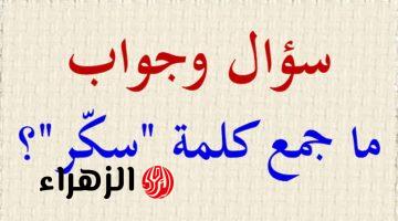 «3% بس اللي عارفينها!!».. جمع كلمة “سكر” في اللغة العربية هيحيرك والإجابة مفاجأة!!