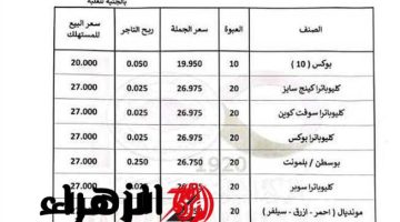 “ضربة قاضية للمدخنين!”… الشرقية للدخان تعلن أسعار السجائر اليوم الأربعاء 19 فبراير 2025.. تعرف عليها!