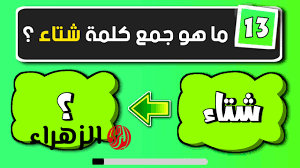 “سؤال حير ملايين الطلاب” .. هل تعلم ماهو جمع كلمة “شتاء” في معجم اللغة العربية الفصحى ؟! .. إجابة مايعرفهاش غير 5% فقط !!!