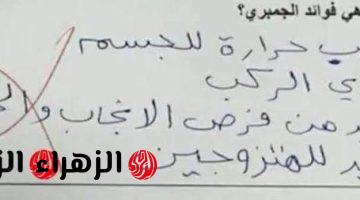 «فين أهل الولد ده؟»…إجابة طالب في الامتحان بالصف الرابع الابتدائي اذهل المصححين| الكل مصدوم بسببها!!