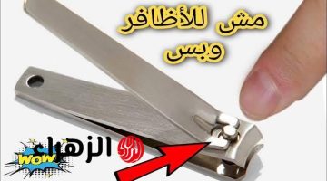 “اسرار خرافية لا تخطر على بالك”..!! 7 استخدامات مذهلة لقصافة الأظافر!!.. عمرنا ضاع وفاكرينها للقص بس!!