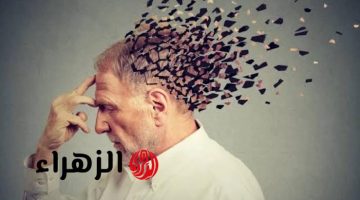 «الذاكرة هتبقي طلقة!!».. مسن كبير يكشف عن طريقة عبقرية للتخلص من النسيان والوصول إلى مرحلة الذكاء بنسبة 200% .. وداعا للنسيان بعد النهاردة!!