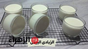 أفضل طريقة لعمل الزبادي البيتي في المنزل طوال شهر رمضان !!