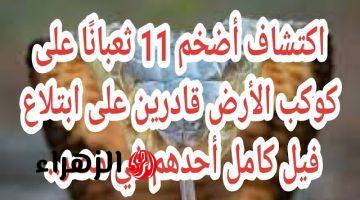 “صدمة ملهاش مثيل”.. اكتشاف أضخم 11 ثعبانًا على كوكب الأرض قادرين على ابتلاع فيل كامل أحدهم في مصر.. لن تصدق ما ستراه!”