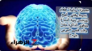 «تناول هذه الأطعمة وحياتك هتتغير 360 درجه!!»..أطعمة موفرة موجوده عندك برخص التراب تقوي الذاكرة وتعالج النسيان وتحارب الشيخوخة وتغذي المخ هتندم انك معرفتهاش من زمان!