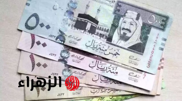 “اخر التحديثات!!”… سعر صرف الريال السعودي مقابل الجنية المصري اليوم السبت 22 فبراير 2025 في البنوك ومكاتب الصرافة!!