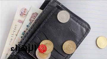 بعد تثبيت أسعار الفائدة.. ما هي أعلى شهادة ادخار في مصر الآن؟ عائد 27% سنويًا أم 23.5% شهريًا – “احسب أرباحك بنفسك”