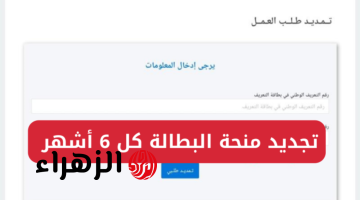 خطوات تجديد منحة البطالة كل 6 أشهر 2025 عبر wassitonline anem dz